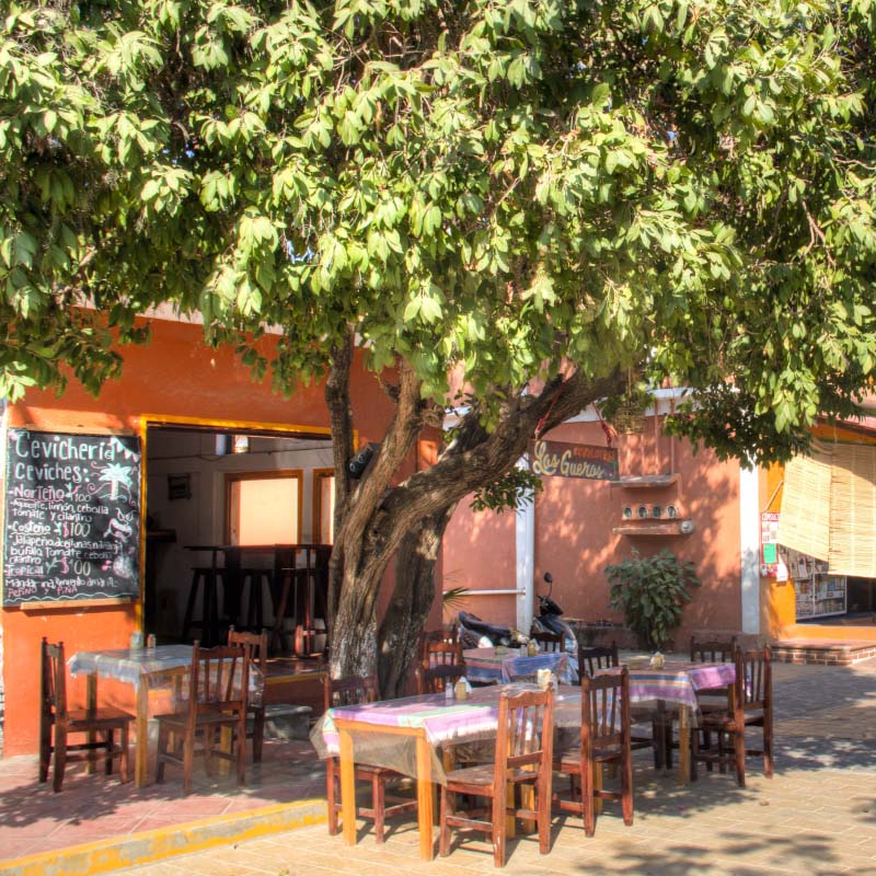 Bars & Restaurants in Zipolite